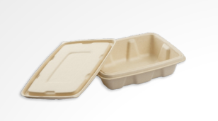 500 ML Anti Leak Container